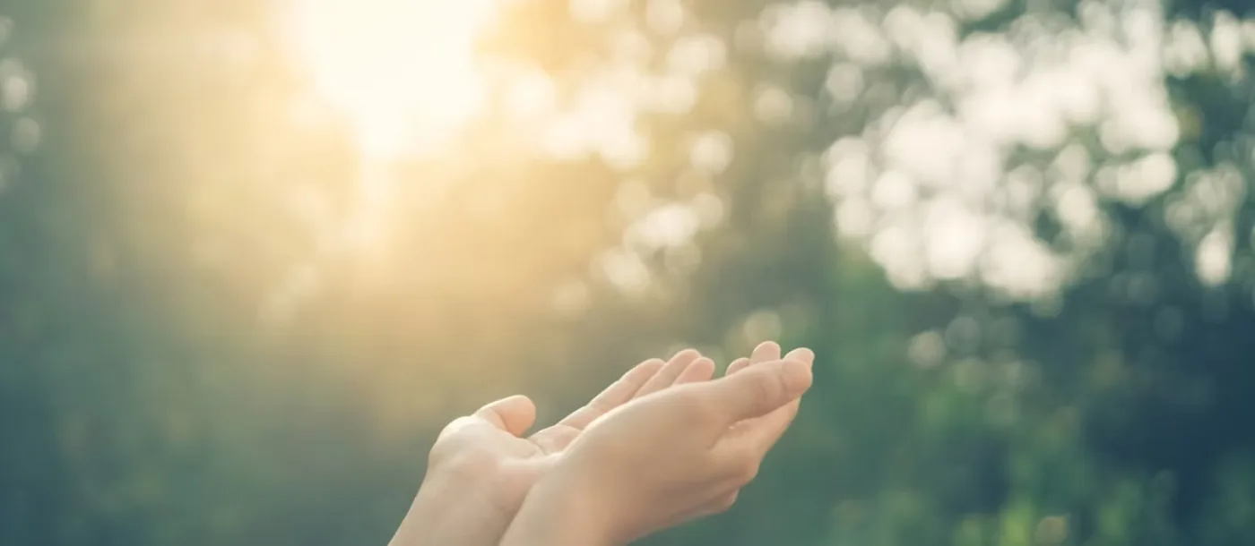 Mani aperte controluce fra le foglie