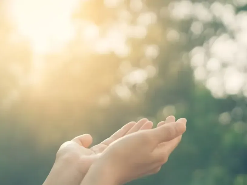 Il nostro partner di bellezza naturale